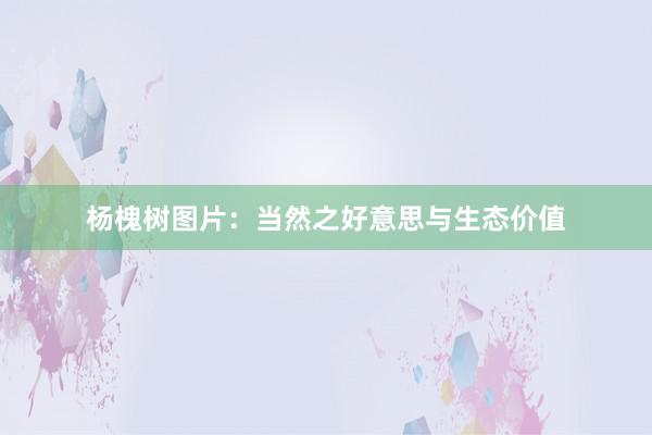 杨槐树图片：当然之好意思与生态价值